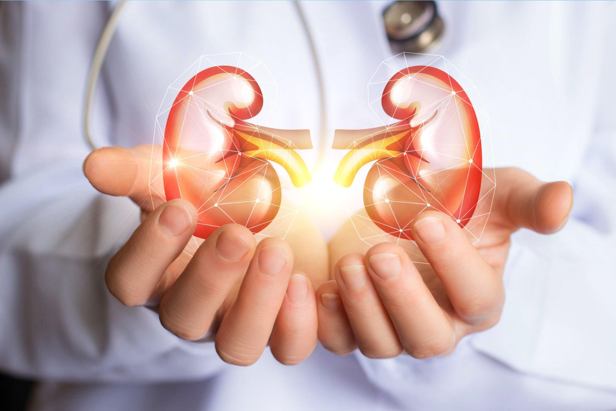 How to Take Care of Your Transplanted Kidney